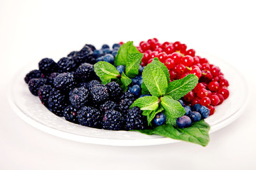 Cranberries, blueberries, mulberries and mint