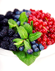 Close up of cranberries, blueberries, mulberries and mint