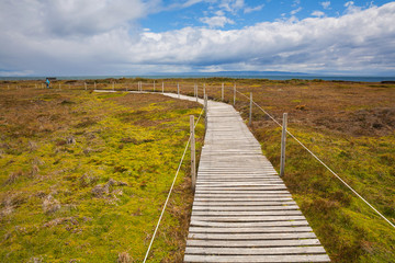 Obraz premium Patagonian landscape