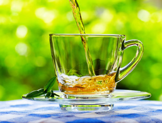 Cup of tea on nature background