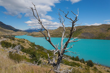 National park Torres del Paine, Patagonia, Chile