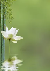 Crédence de cuisine en verre imprimé fleur de lotus décor relaxant asiatique