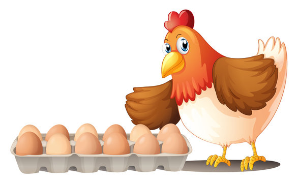 A dozen of eggs in a tray and the hen