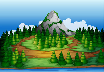 An island full of pine trees