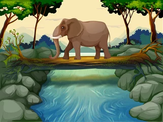 Crédence de cuisine en verre imprimé Animaux de la forêt Un éléphant traversant la rivière