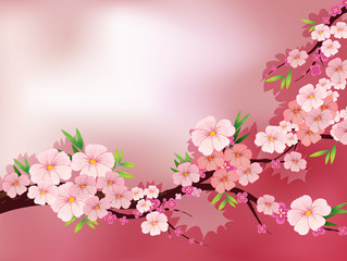 Naklejka na ściany i meble Papiernicze świeże różowe kwiaty