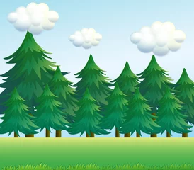 Gordijnen Een dennenboomlandschap © GraphicsRF