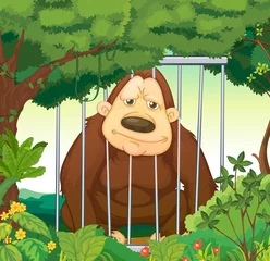 Papier Peint photo autocollant Zoo Un gorille à l& 39 intérieur d& 39 une cage à la forêt