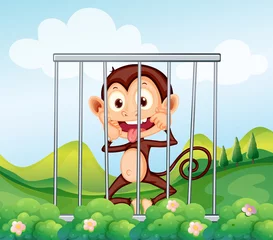 Crédence de cuisine en verre imprimé Zoo Un singe dans la cage
