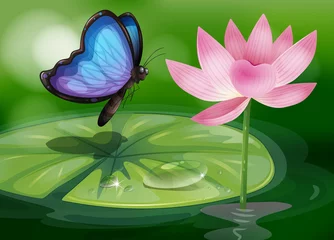 Crédence de cuisine en verre imprimé Papillon Un papillon près de la fleur rose à l& 39 étang