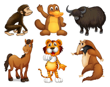 Six different kinds of four-legged animals
