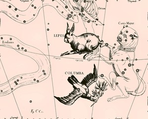 Constellation vintage map