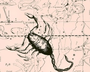 Constellation vintage map