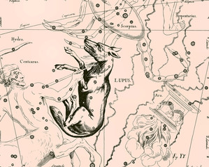 Constellation vintage map © Sergey Kamshylin