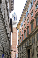 Fototapeta na wymiar Siena Torre del Mangia
