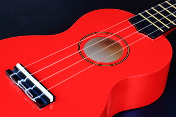 Ukulele Body