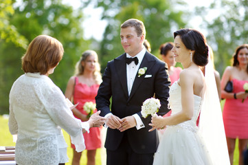 Wedding guests toasting bride and groom