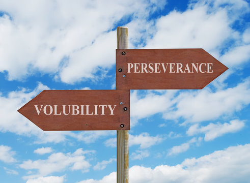 PERSEVERANCE VS VOLUBILITY