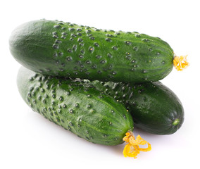 Fresh cucumber