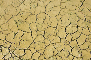 Dry soil and climatic conditions show texture.