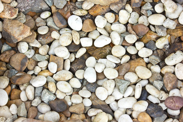 Stone