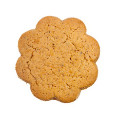 Gingerbread cookie isolated