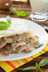 Meat lasagna with mozzarella on a white dish