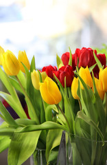 Beautiful mix of vivid multicolored tulips