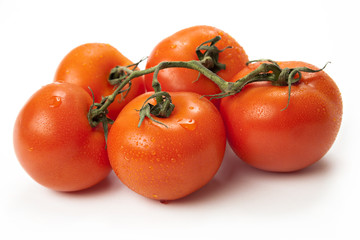 Close-up photo of tomatoes on the white background