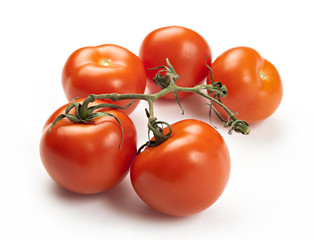 Close-up photo of tomatoes on the white background