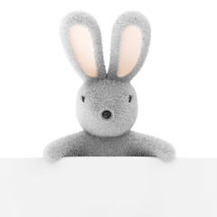 Bunny with Blank Board isolated on white background