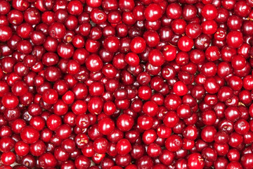 red cherry