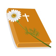 Holy Bible with Wooden Cross and Daisy Flower