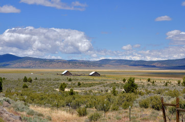 Rural Landscape with Rustic Barns