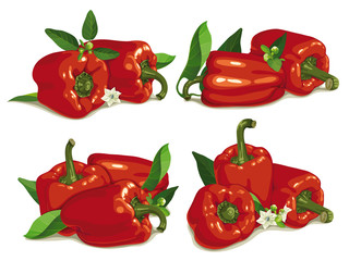set of red pepper