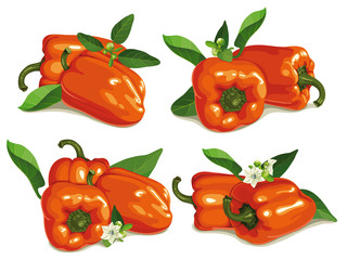 set of orange pepper