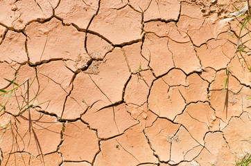 Dry crack soil