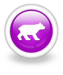 Violet Icon 