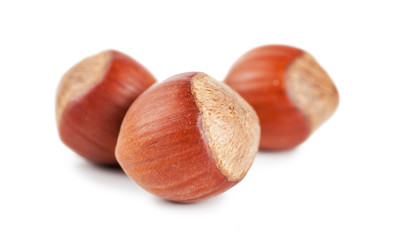 Hazelnuts
