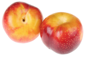Nectarines