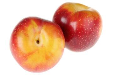 Nectarines