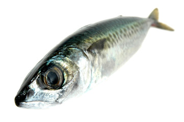 Caballa