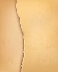 Vintage background with ripped old paper. Vector illustration.