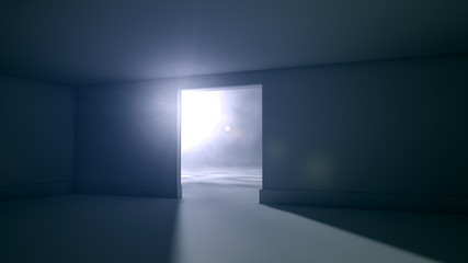 Puerta y entrada de luz