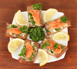 Salmon sandwich on plate,on wooden background