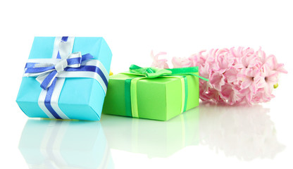 Beautiful hyacinth and gifts, isolated on white