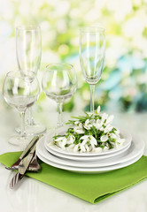 Serving dishes and snowdrops on natural background