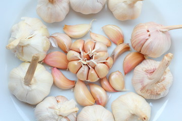 Garlic