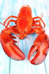 Red lobster on wooden table close-up