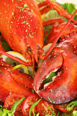 Red lobster on platter with vegetables close-up